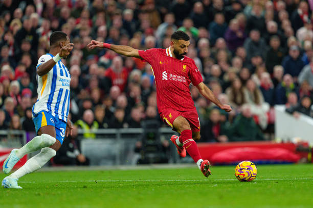 适应现代足 适应现代足