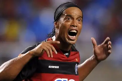 独特的羽毛 独特的羽毛