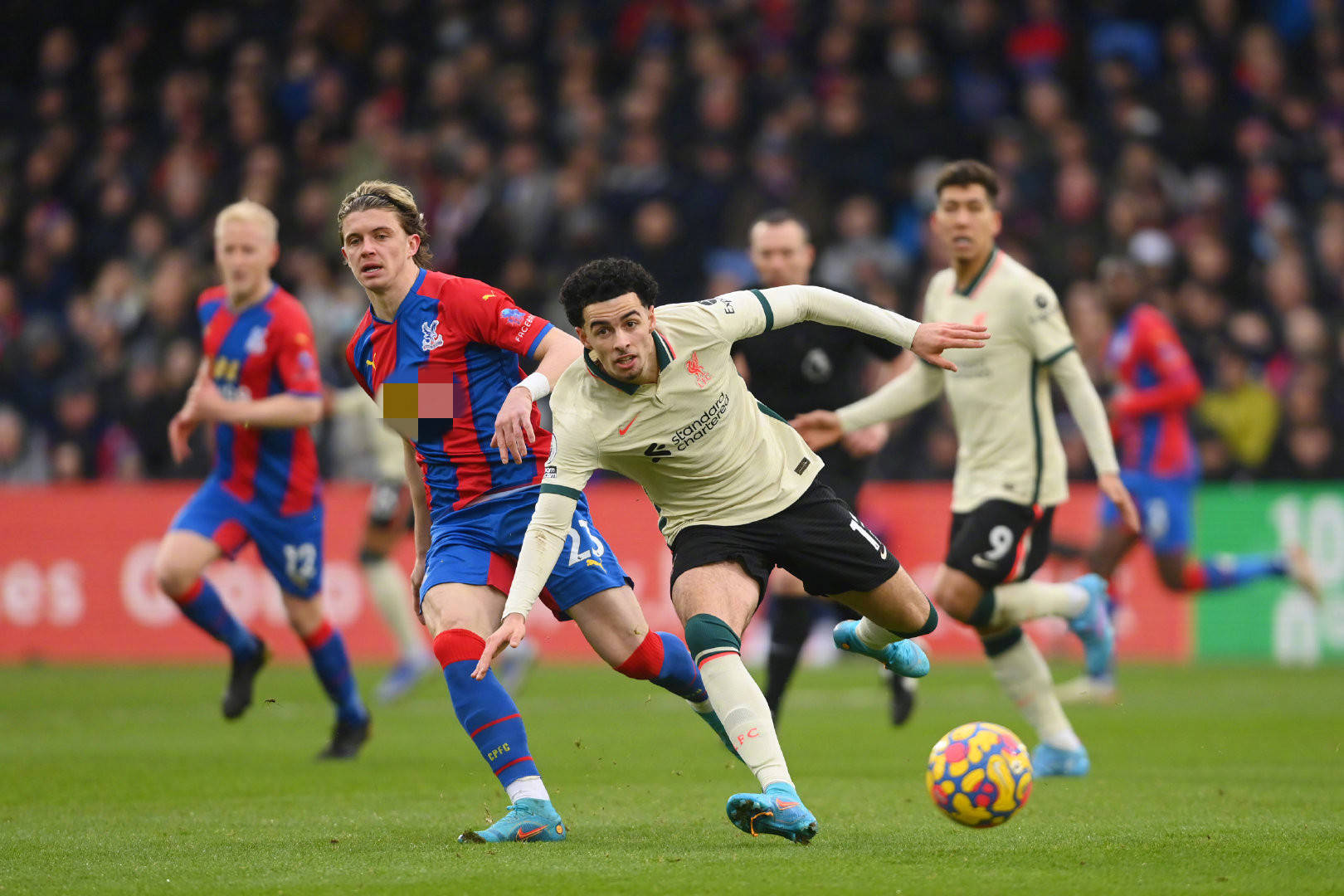 但历经康复 但历经康复